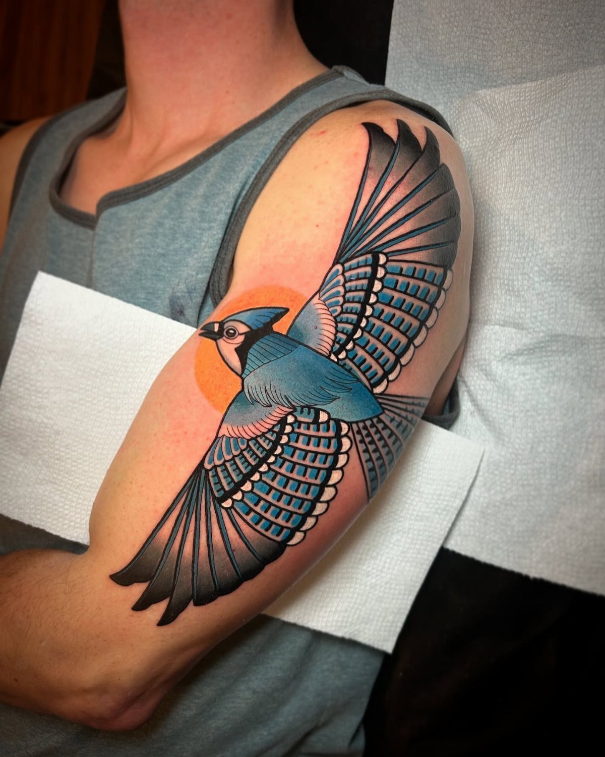 Blue jay bird tattoo in flight on a person's upper arm