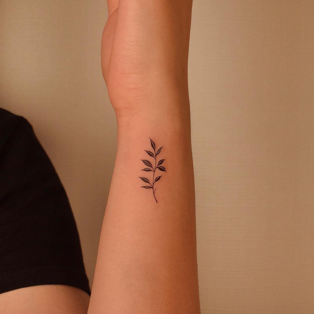 Minimalist black ink tattoo of a leafy stem on a person's inner forearm.