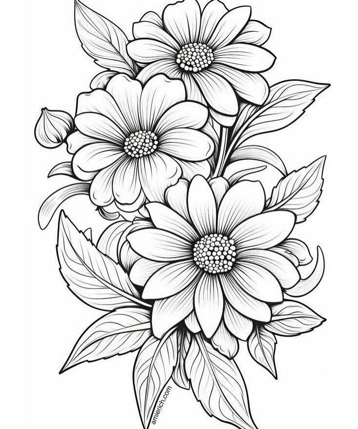 Three detailed daisy flowers with leaves in a black and white line art style.