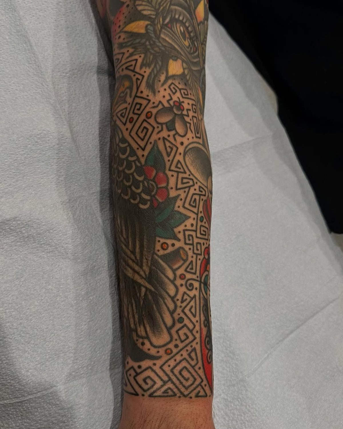 Tattooed forearm with traditional bird imagery and geometric filler patterns in black and red.